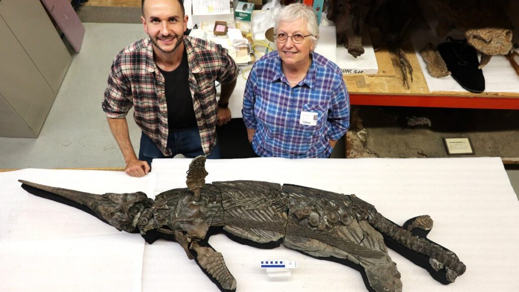 Identifican al "dragón espada", una nueva especie de reptil marino prehistórico