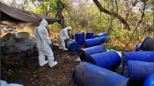 Ejército y Guardia Nacional aseguran más de 500 kg de droga en Sinaloa