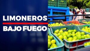 “Será Viral”: Productores de limón y naranja, bajo presión del crimen organizado