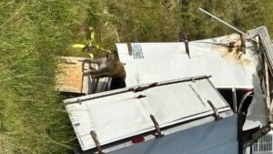 Vuelca camión con monos de laboratorio “infectados” en Mississippi