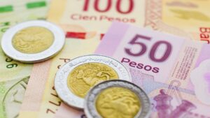 Multas en Puebla: aprovecha descuentos del 30, 50 y hasta 100%