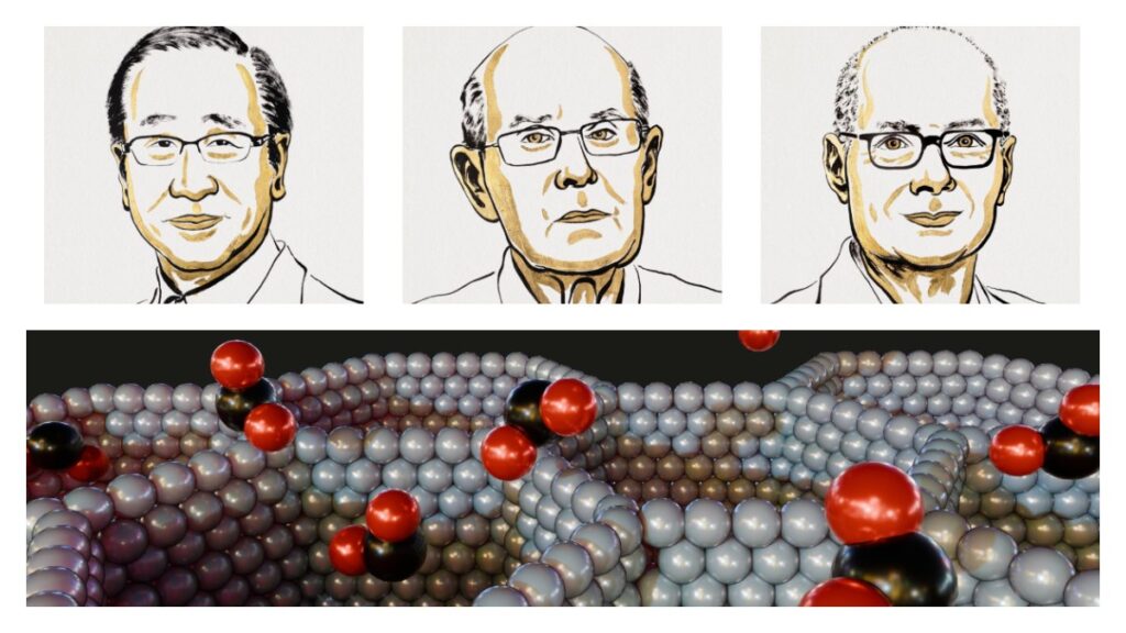 Estructuras metalorgánicas: qué son estos materiales del futuro que valieron un Nobel de Química