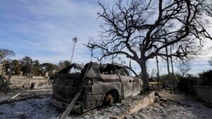 Detienen a hombre por letal incendio que devastó Pacific Palisades