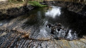Derrame de Pemex contaminó el equivalente a 108 estadios Azteca