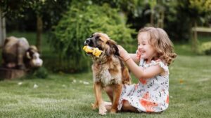 Tener perro podría reducir el riesgo de asma en niños, según un estudio