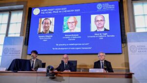 Kitagawa, Yaghi y Robson ganan el Nobel de Química por estructuras metal-orgánicas