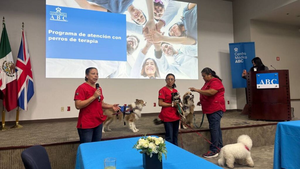 Programa Perros Terapia