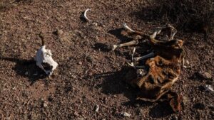 7.6 % del país presenta sequía; lluvias alivian al centro y sur de México