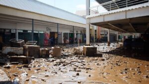 Van 29 muertos, 18 desaparecidos y 40 municipios afectados en Veracruz por lluvias